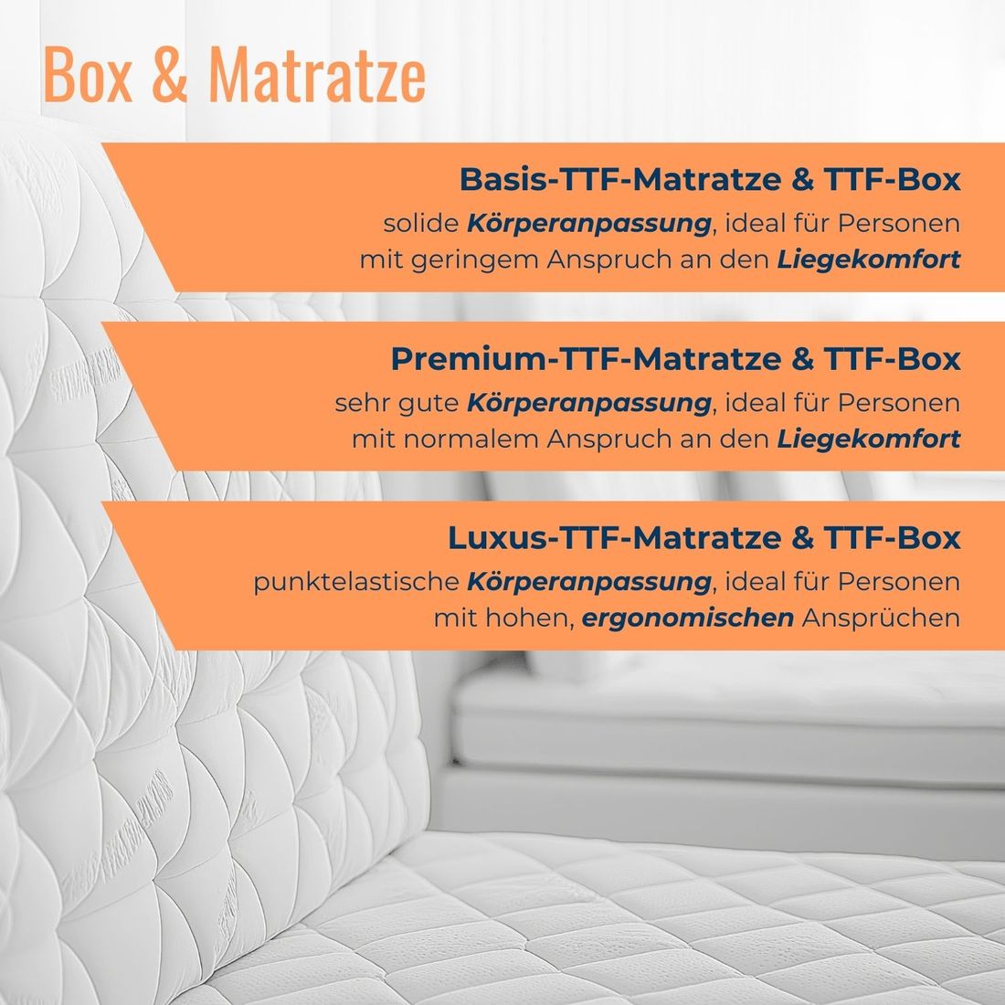 Boxspringbett Port-Louis Buche Massivholz