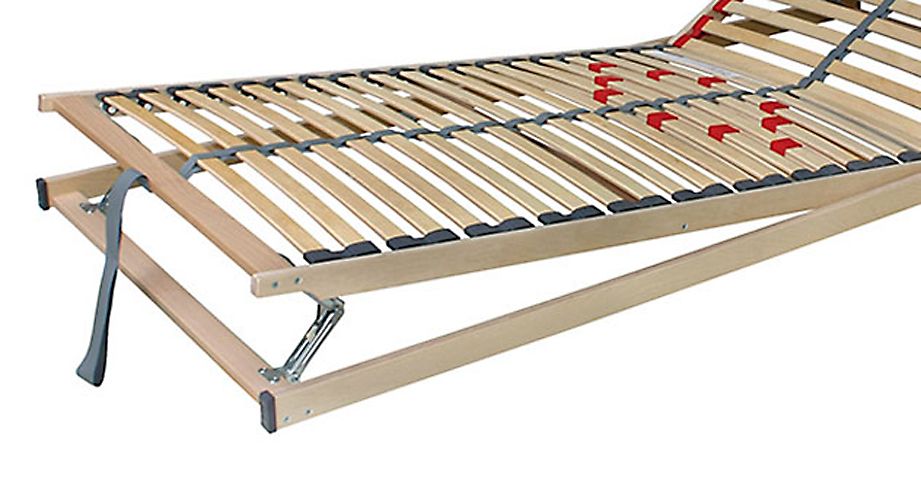 Lattenrost Cleverflex Pro