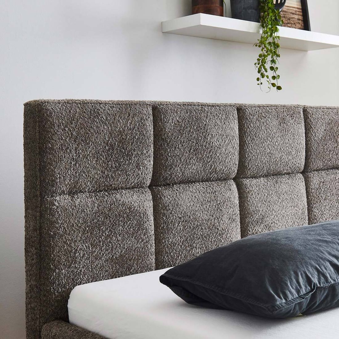 Polsterbett Bennet Komfort Microteddy