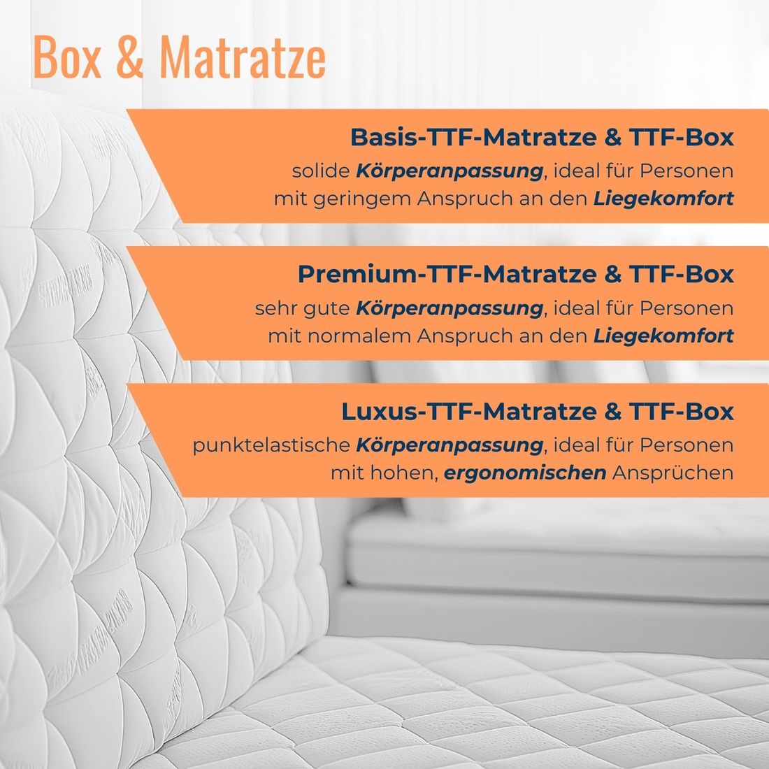Boxspringbett Sardinien Buche Massivholz