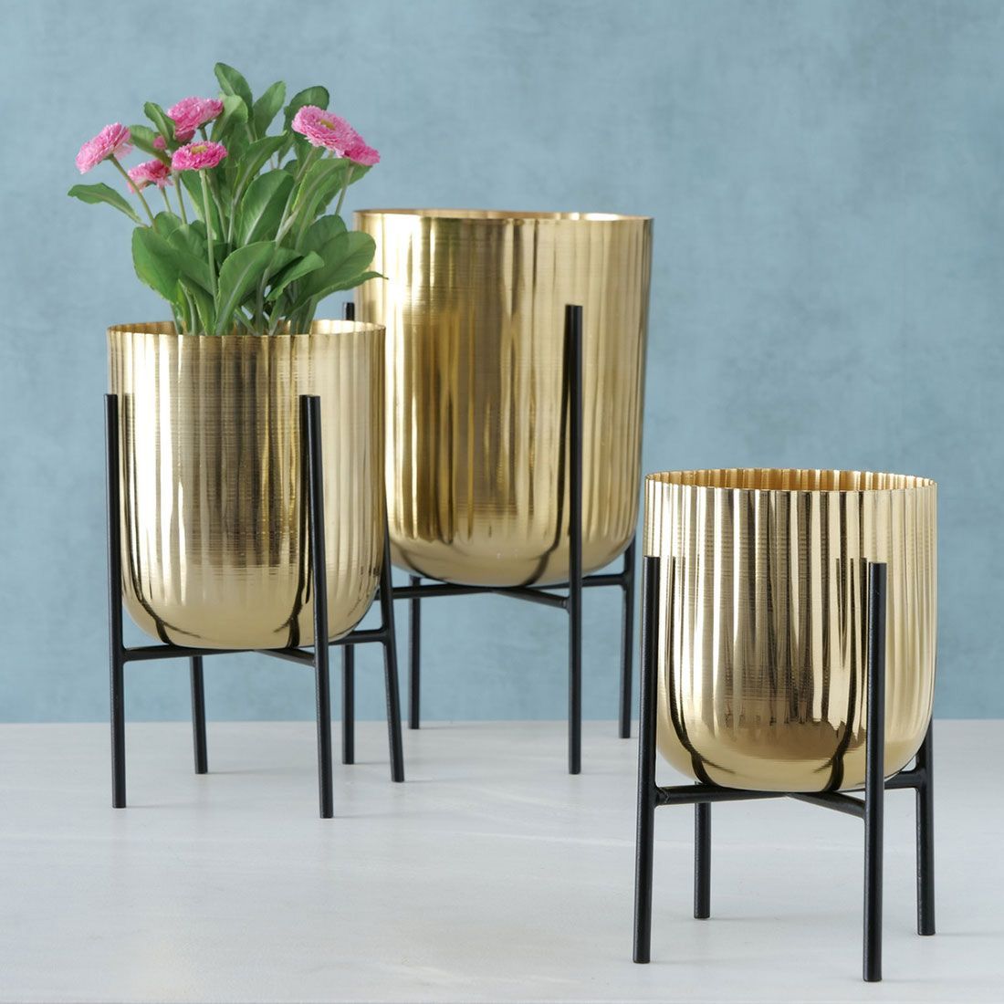 Goldene Pflanztöpfe