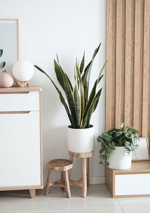 Scandi Chic Scandi Chic