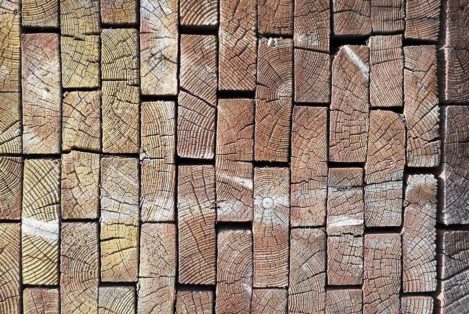 Hartholz Hirnholz Hartholz Hirnholz