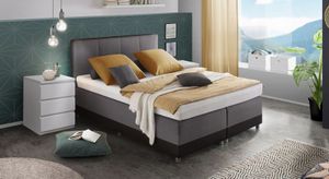 Boxspringbett Evan