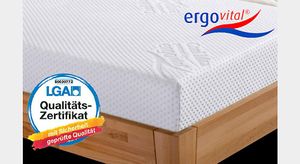 Visco-Matratze ergowell