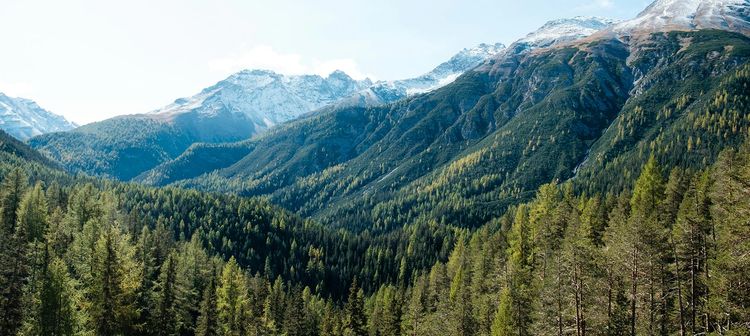 Nationalpark Zernez
