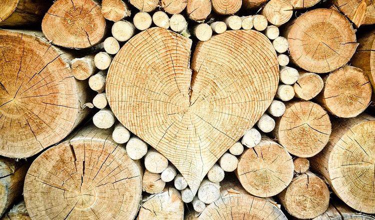 Holz