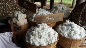 Baumwolle Verkauf Rohware