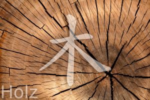 Die fünf Elemente im Feng Shui: Holz