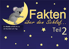 Fakten über den Schlaf