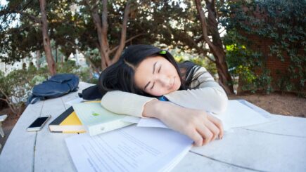 Ist Lernen im Schlaf mÃ¶glich?