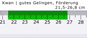 Feng Shui Lineal Kwan Gutes Gelingen