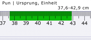 Feng Shui Lineal Pun Ursprung Einheit