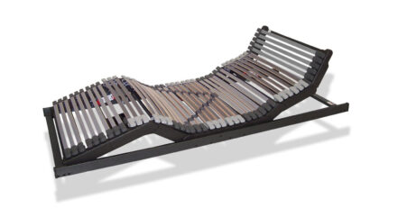 orthowell Lattenrost royalflex elektrisch verstellbar