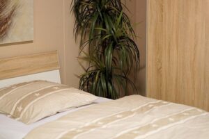 Schlafräuber: Pflanzen im Schlafzimmer
