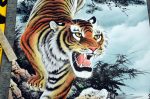 Weißer Tiger - Feng Shui Himmlische Tiere