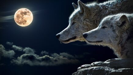 Was ist die Wolfsstunde? Was passiert in der Stunde des Wolfes?