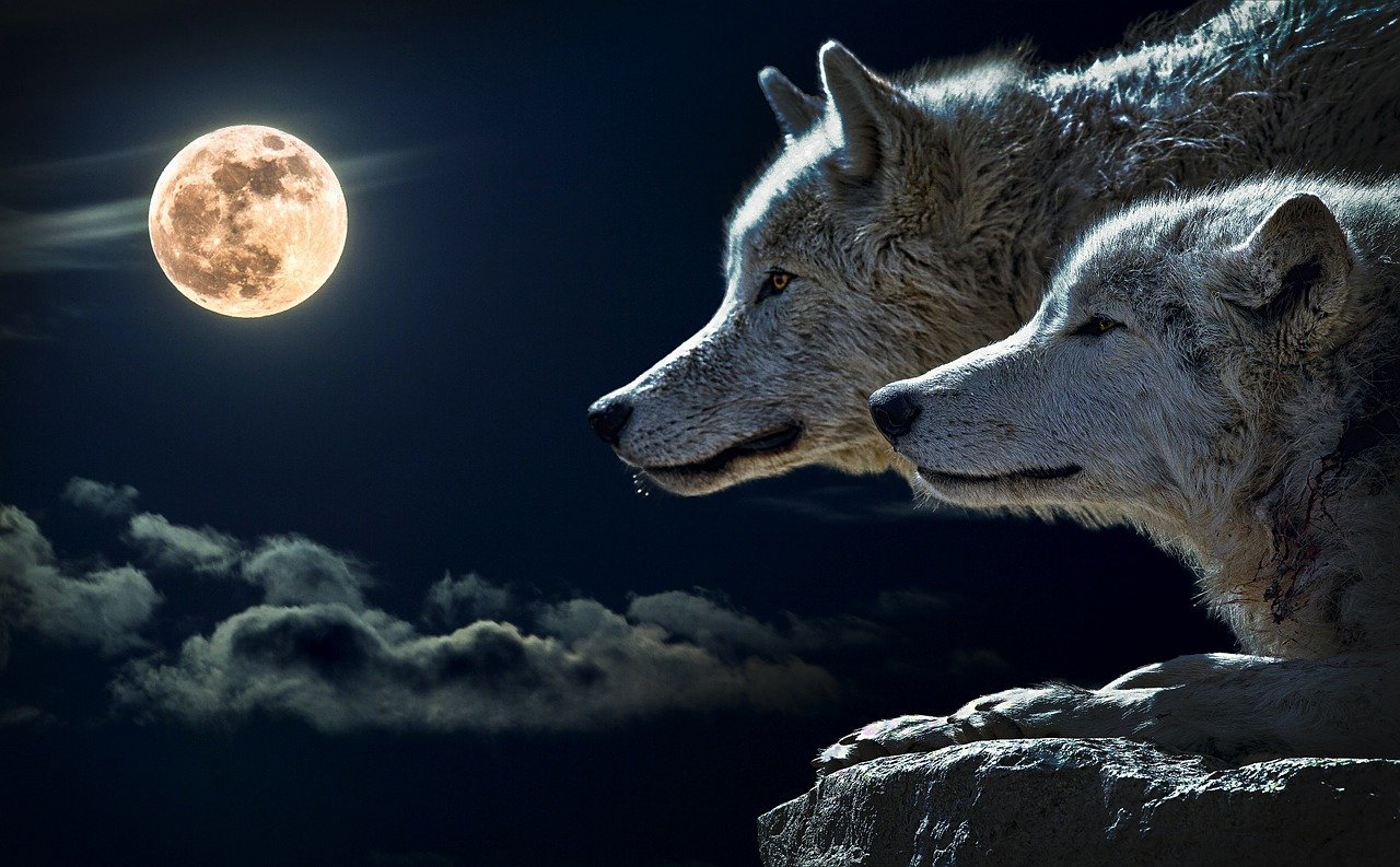 Was ist die Wolfsstunde? Was passiert in der Stunde des Wolfes?