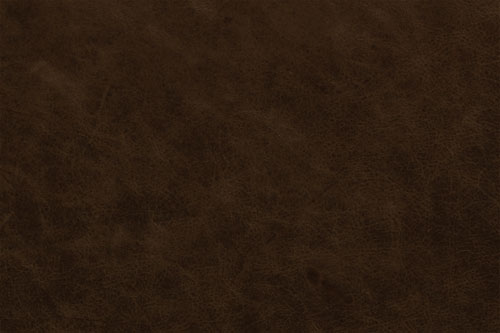 mocca (521)