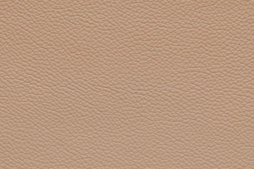 cappuccino (507)