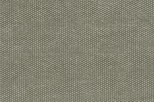 olive (664)